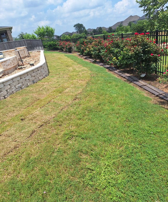 Features Image